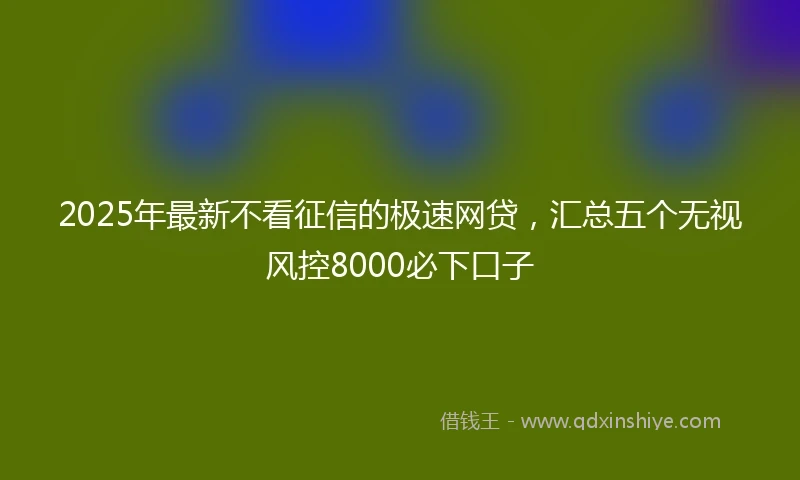 2025年最新不看征信的极速网贷，汇总五个无视风控8000必下口子