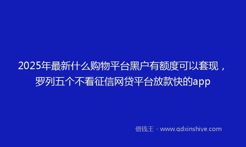 2025年最新什么购物平台黑户有额度可以套现，罗列五个不看征信网贷平台放款快的app