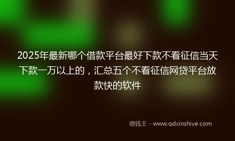 2025年最新哪个借款平台最好下款不看征信当天下款一万以上的，汇总五个不看征信网贷平台放款快的软件