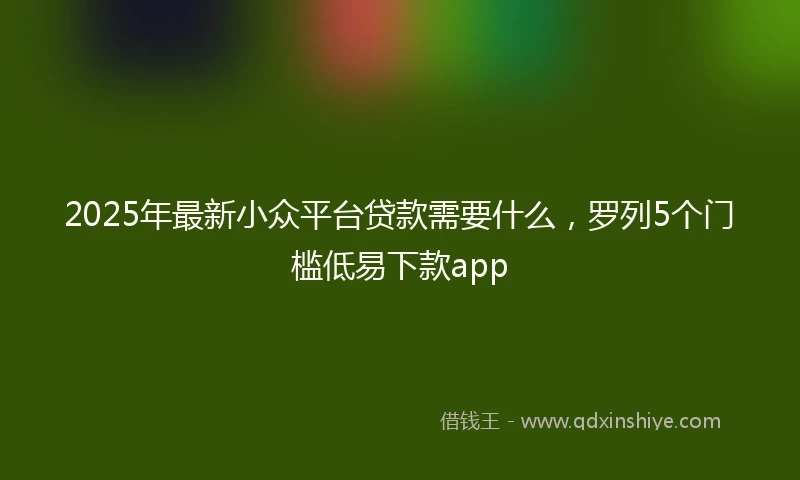 2025年最新小众平台贷款需要什么，罗列5个门槛低易下款app