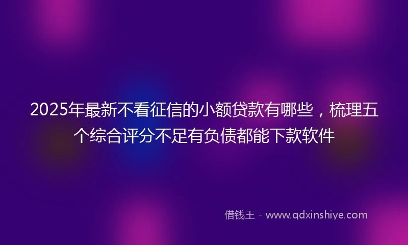 2025年最新不看征信的小额贷款有哪些，梳理五个综合评分不足有负债都能下款软件