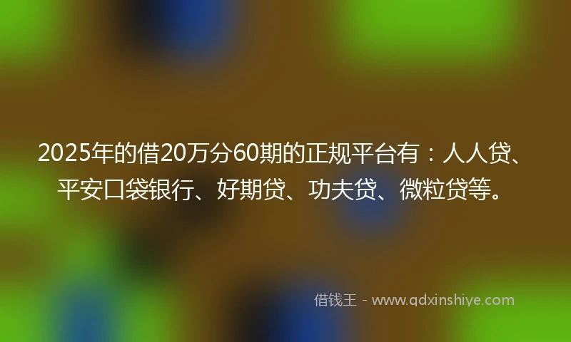 2025年的借20万分60期的正规平台有：人人贷、平安口袋银行、好期贷、功夫贷、微粒贷等。