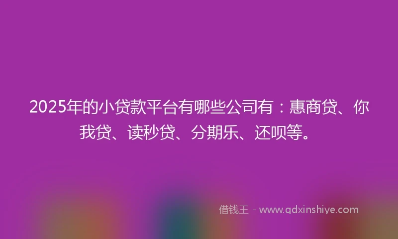 2025年的小贷款平台有哪些公司有：惠商贷、你我贷、读秒贷、分期乐、还呗等。