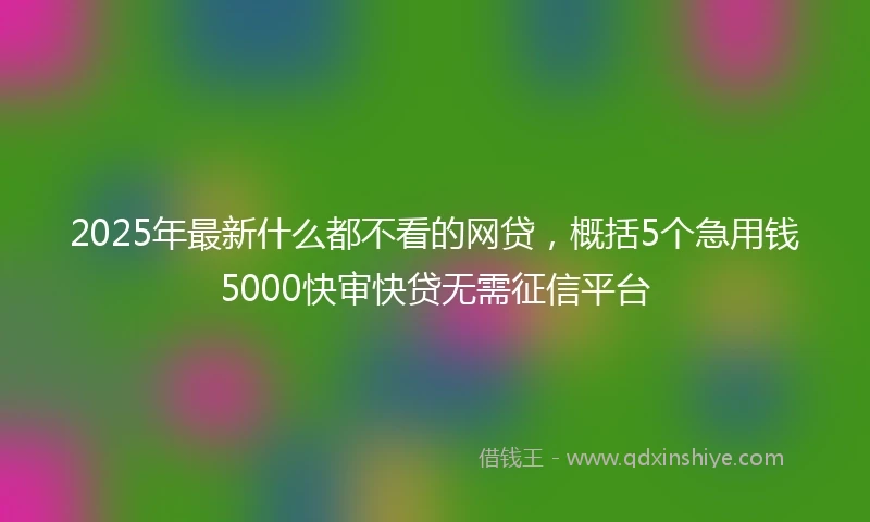 2025年最新什么都不看的网贷，概括5个急用钱5000快审快贷无需征信平台