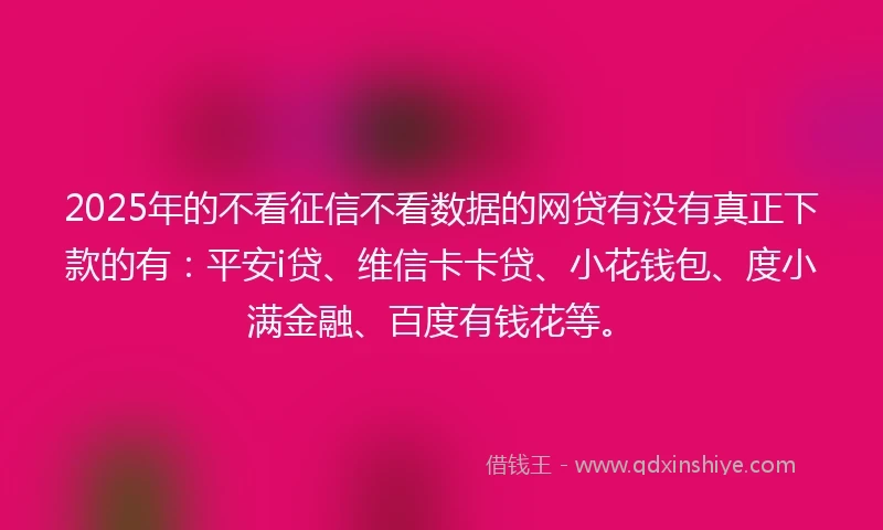 2025年的不看征信不看数据的网贷有没有真正下款的有：平安i贷、维信卡卡贷、小花钱包、度小满金融、百度有钱花等。