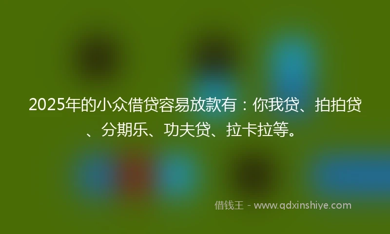 2025年的小众借贷容易放款有:你我贷、拍拍贷、分期乐、功夫贷、拉卡拉等。