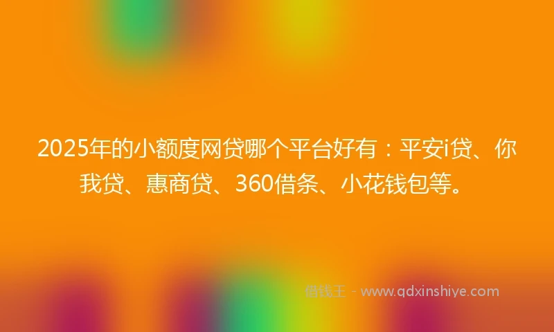 2025年的小额度网贷哪个平台好有：平安i贷、你我贷、惠商贷、360借条、小花钱包等。