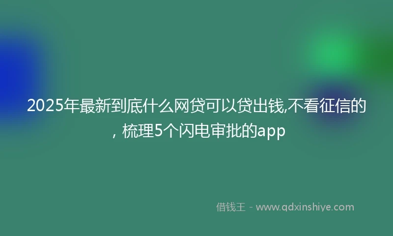 2025年最新到底什么网贷可以贷出钱,不看征信的，梳理5个闪电审批的app