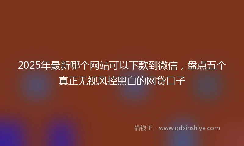 2025年最新哪个网站可以下款到微信，盘点五个真正无视风控黑白的网贷口子