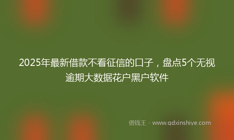 2025年最新借款不看征信的口子，盘点5个无视逾期大数据花户黑户软件