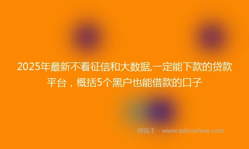 2025年最新不看征信和大数据,一定能下款的贷款平台，概括5个黑户也能借款的口子