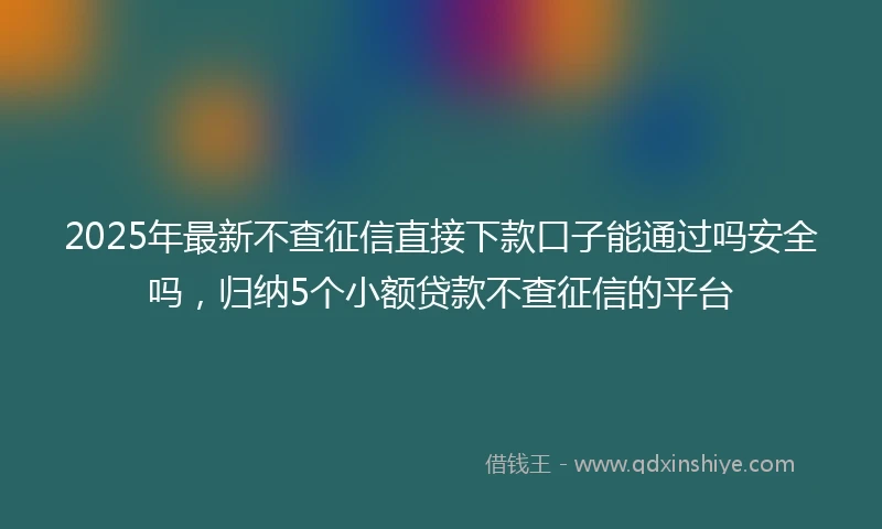 2025年最新不查征信直接下款口子能通过吗安全吗，归纳5个小额贷款不查征信的平台