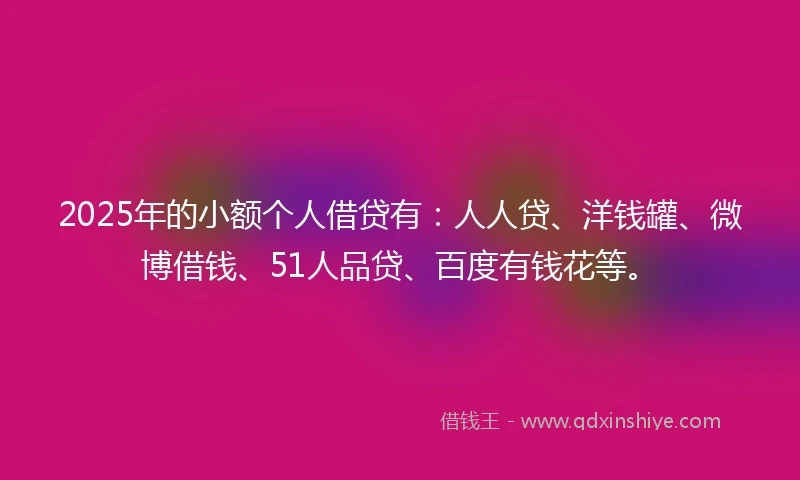 2025年的小额个人借贷有：人人贷、洋钱罐、微博借钱、51人品贷、百度有钱花等。
