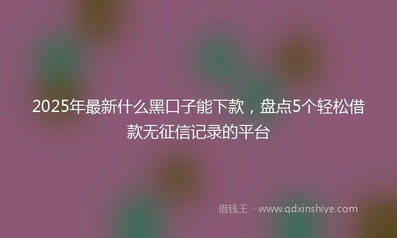 2025年最新什么黑口子能下款，盘点5个轻松借款无征信记录的平台