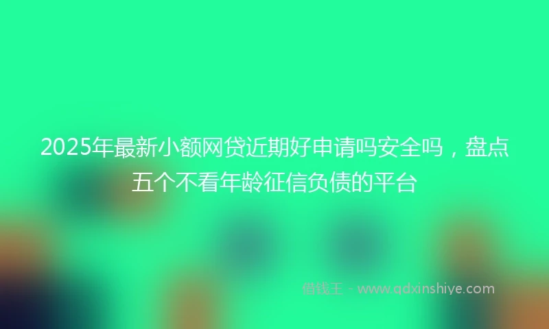 2025年最新小额网贷近期好申请吗安全吗，盘点五个不看年龄征信负债的平台