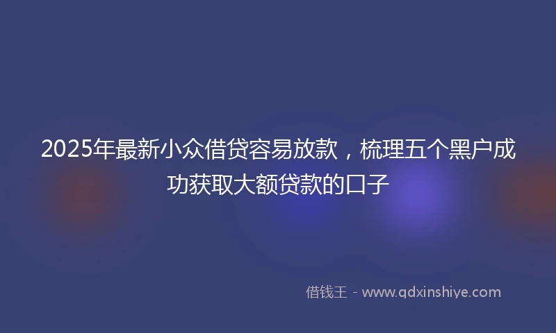 2025年最新小众借贷容易放款，梳理五个黑户成功获取大额贷款的口子