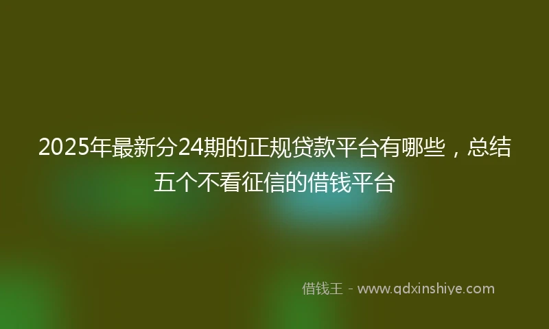 2025年最新分24期的正规贷款平台有哪些，总结五个不看征信的借钱平台