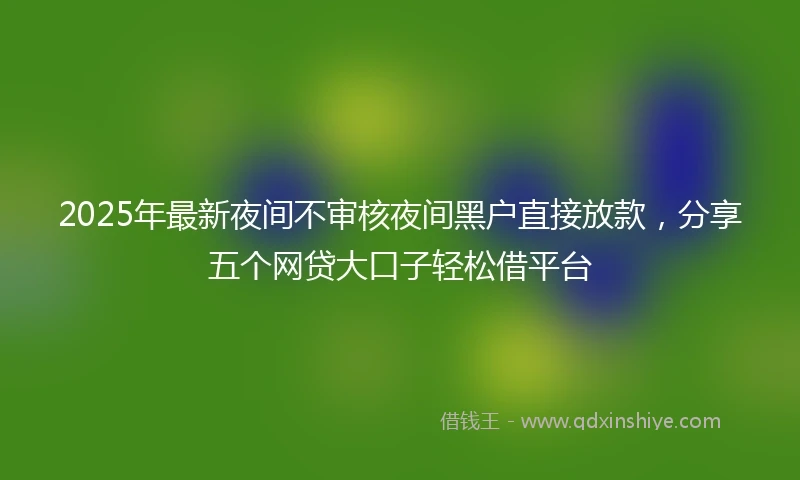 2025年最新夜间不审核夜间黑户直接放款，分享五个网贷大口子轻松借平台