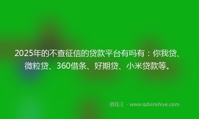 2025年的不查征信的贷款平台有吗有：你我贷、微粒贷、360借条、好期贷、小米贷款等。