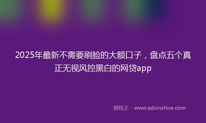 2025年最新不需要刷脸的大额口子，盘点五个真正无视风控黑白的网贷app