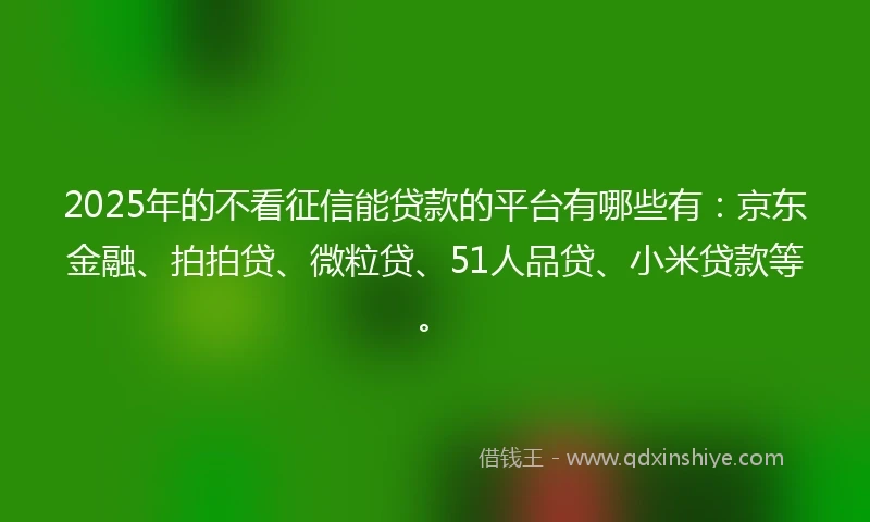 2025年的不看征信能贷款的平台有哪些有：京东金融、拍拍贷、微粒贷、51人品贷、小米贷款等。
