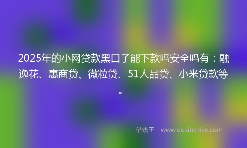 2025年的小网贷款黑口子能下款吗安全吗有：融逸花、惠商贷、微粒贷、51人品贷、小米贷款等。