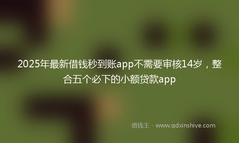 2025年最新借钱秒到账app不需要审核14岁，整合五个必下的小额贷款app