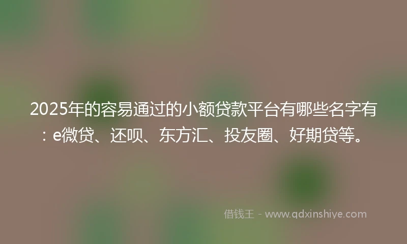 2025年的容易通过的小额贷款平台有哪些名字有：e微贷、还呗、东方汇、投友圈、好期贷等。