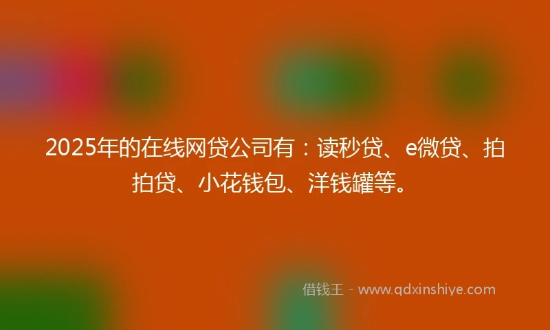 2025年的在线网贷公司有：读秒贷、e微贷、拍拍贷、小花钱包、洋钱罐等。