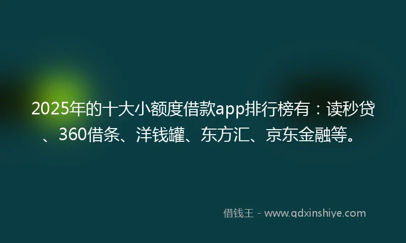 2025年的十大小额度借款app排行榜有：读秒贷、360借条、洋钱罐、东方汇、京东金融等。