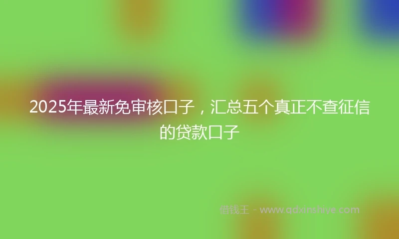 2025年最新免审核口子，汇总五个真正不查征信的贷款口子