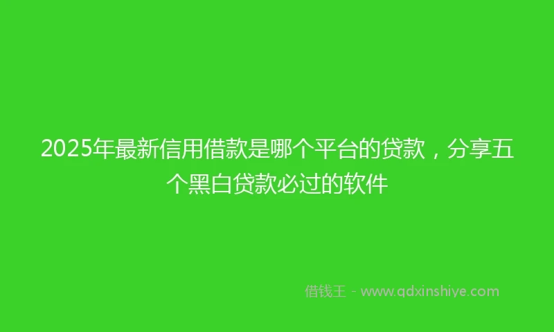 2025年最新信用借款是哪个平台的贷款，分享五个黑白贷款必过的软件
