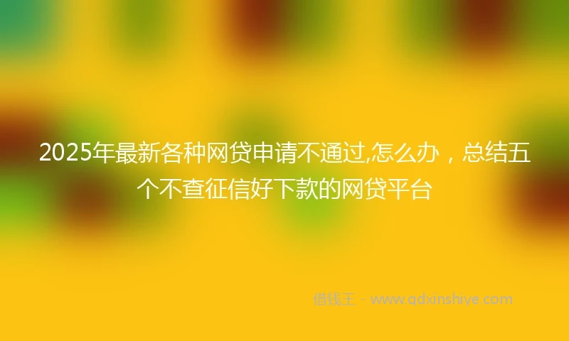 2025年最新各种网贷申请不通过,怎么办，总结五个不查征信好下款的网贷平台