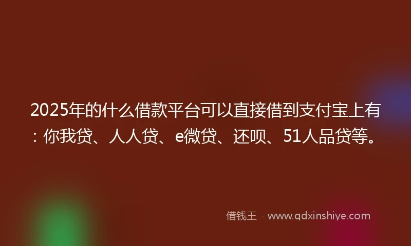 2025年的什么借款平台可以直接借到支付宝上有：你我贷、人人贷、e微贷、还呗、51人品贷等。
