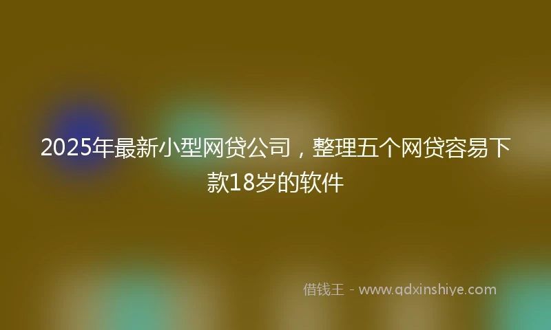 2025年最新小型网贷公司，整理五个网贷容易下款18岁的软件