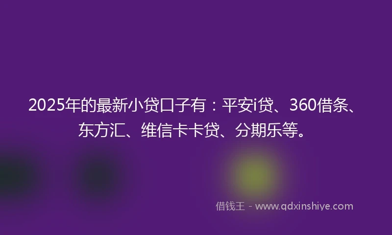 2025年的最新小贷口子有：平安i贷、360借条、东方汇、维信卡卡贷、分期乐等。