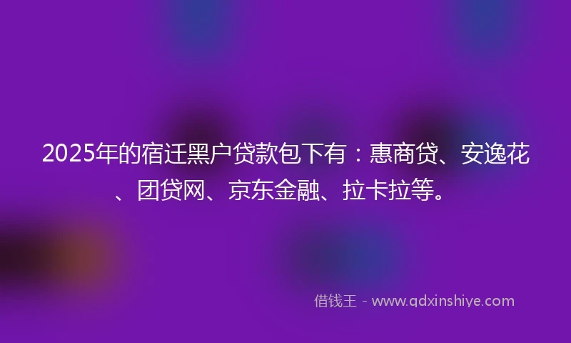 2025年的宿迁黑户贷款包下有：惠商贷、安逸花、团贷网、京东金融、拉卡拉等。