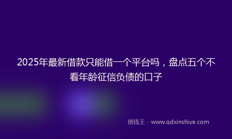 2025年最新借款只能借一个平台吗，盘点五个不看年龄征信负债的口子