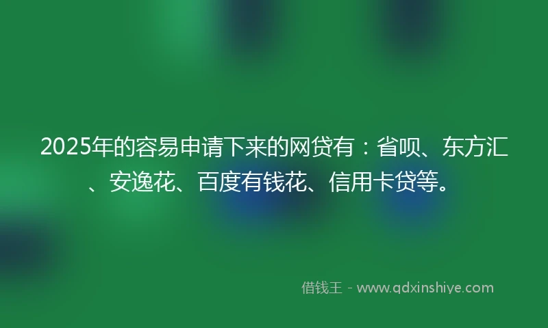 2025年的容易申请下来的网贷有：省呗、东方汇、安逸花、百度有钱花、信用卡贷等。