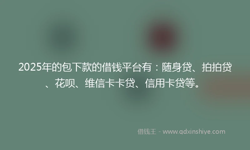2025年的包下款的借钱平台有：随身贷、拍拍贷、花呗、维信卡卡贷、信用卡贷等。
