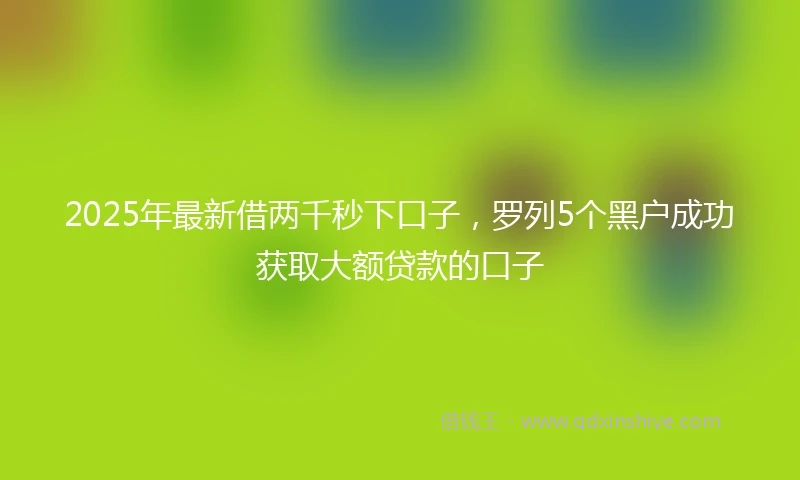 2025年最新借两千秒下口子，罗列5个黑户成功获取大额贷款的口子