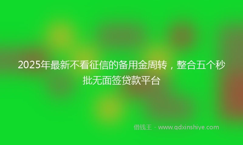 2025年最新不看征信的备用金周转，整合五个秒批无面签贷款平台