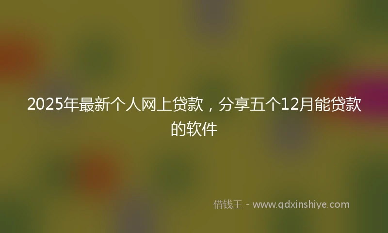 2025年最新个人网上贷款，分享五个12月能贷款的软件