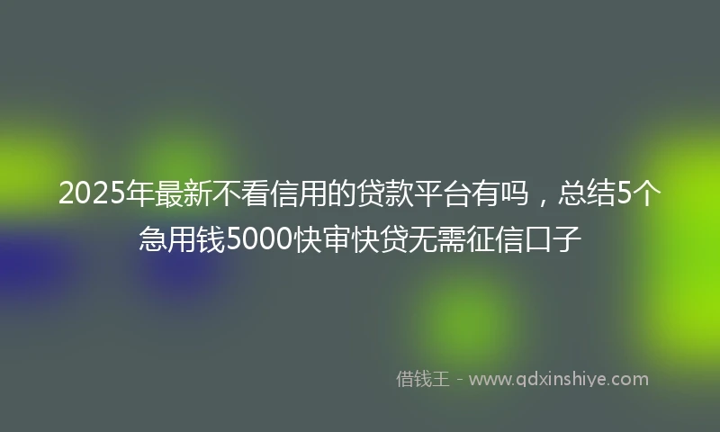2025年最新不看信用的贷款平台有吗，总结5个急用钱5000快审快贷无需征信口子