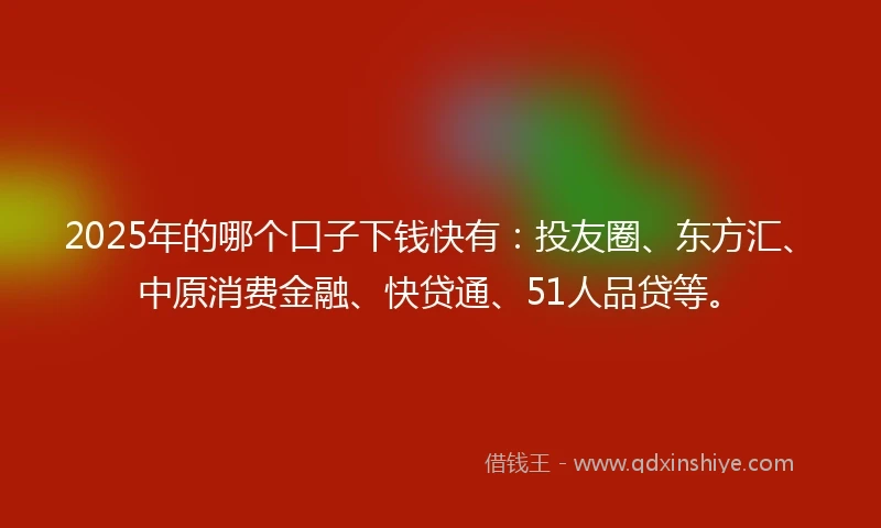 2025年的哪个口子下钱快有：投友圈、东方汇、中原消费金融、快贷通、51人品贷等。