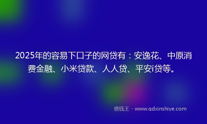 2025年的容易下口子的网贷有：安逸花、中原消费金融、小米贷款、人人贷、平安i贷等。