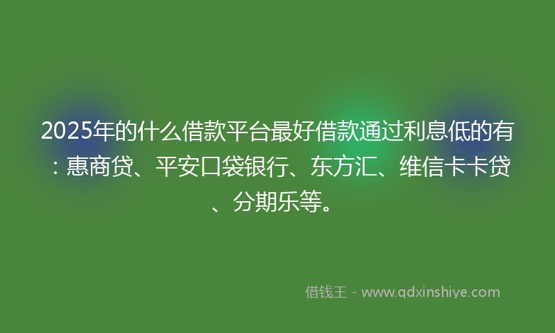 2025年的什么借款平台最好借款通过利息低的有：惠商贷、平安口袋银行、东方汇、维信卡卡贷、分期乐等。