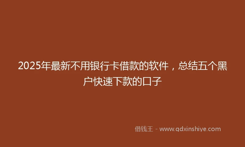 2025年最新不用银行卡借款的软件，总结五个黑户快速下款的口子