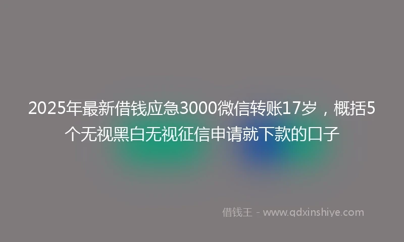 2025年最新借钱应急3000微信转账17岁，概括5个无视黑白无视征信申请就下款的口子