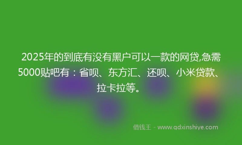 2025年的到底有没有黑户可以一款的网贷,急需5000贴吧有：省呗、东方汇、还呗、小米贷款、拉卡拉等。